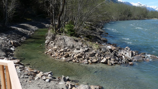 Pllander Iselblick: Flussaufweitung